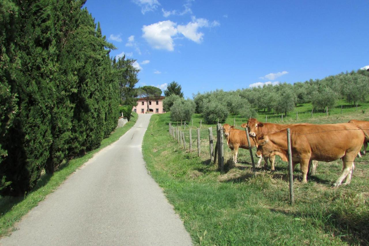 Trebbiolo Villa Dicomano Exterior foto