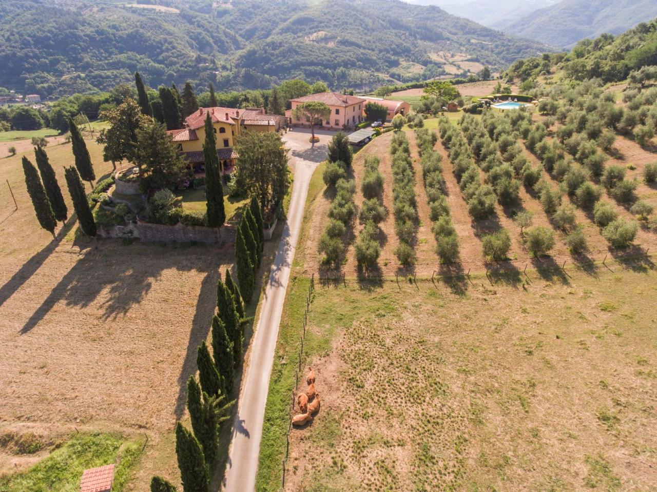 Trebbiolo Villa Dicomano Exterior foto